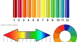 pH-Wert Skala